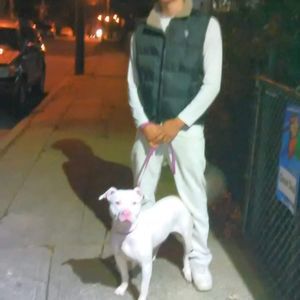 Meet your Posher, Joey